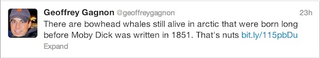 Illustration for article titled There may be whales alive today that were born before Moby Dick was written